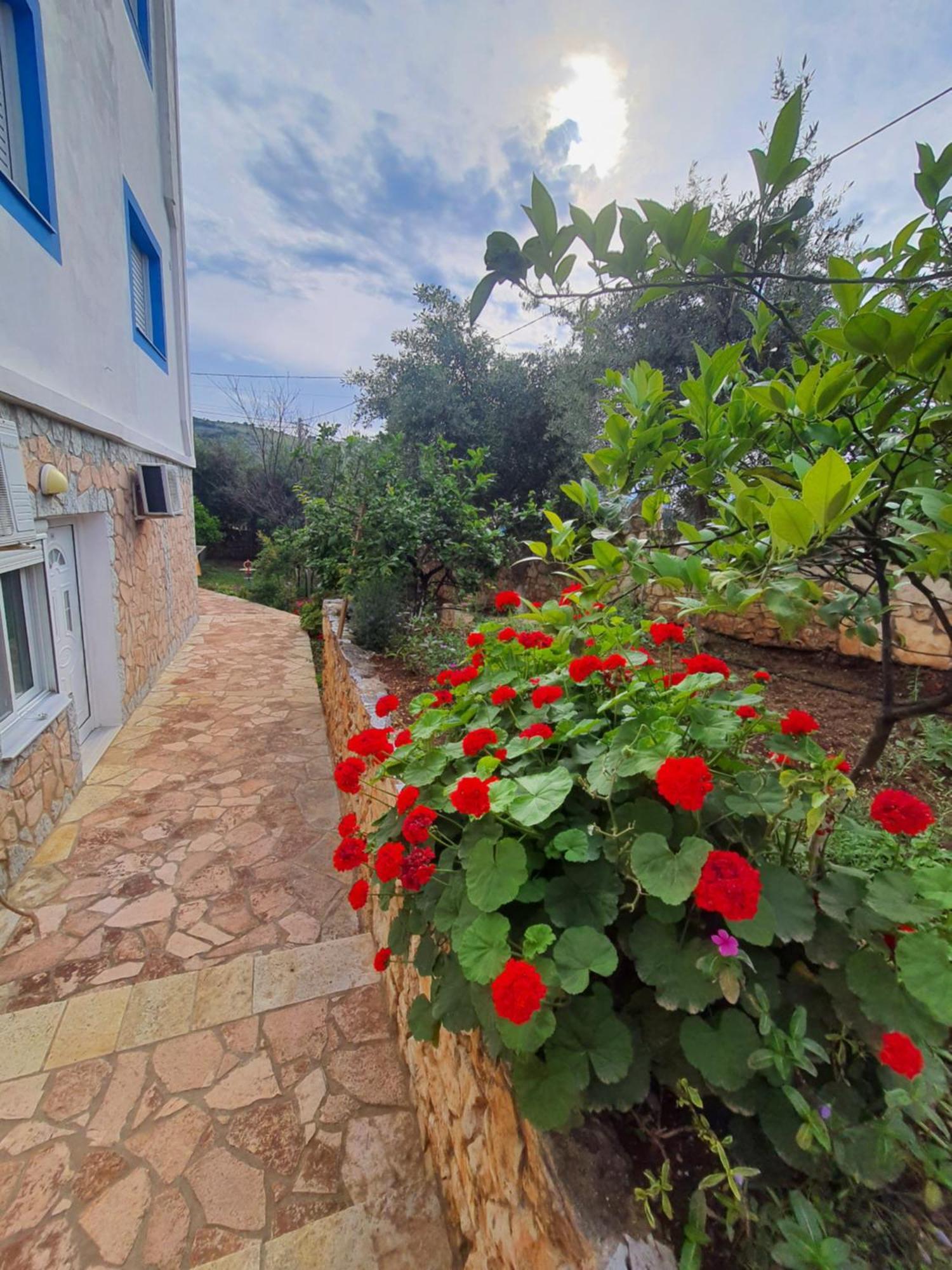 Vila Albi Ksamil Exteriör bild